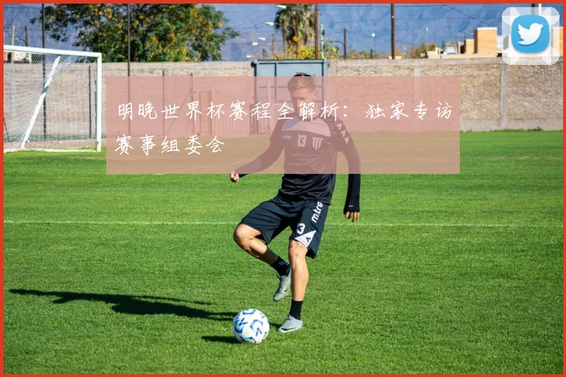 明晚世界杯赛程全解析：独家专访赛事组委会