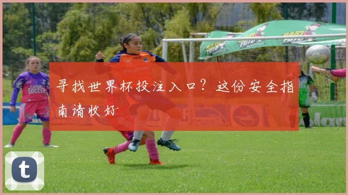 寻找世界杯投注入口？这份安全指南请收好